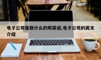 电子公司是做什么的呢英语,电子公司的英文介绍