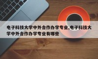 电子科技大学中外合作办学专业,电子科技大学中外合作办学专业有哪些