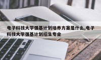 电子科技大学强基计划培养方案是什么,电子科技大学强基计划招生专业