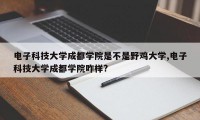 电子科技大学成都学院是不是野鸡大学,电子科技大学成都学院咋样?