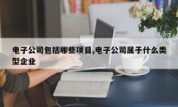 电子公司包括哪些项目,电子公司属于什么类型企业