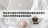 四川电子科技大学研究生就业情况,四川电子科技大学研究生就业情况如何