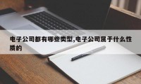 电子公司都有哪些类型,电子公司属于什么性质的