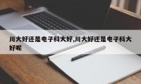 川大好还是电子科大好,川大好还是电子科大好呢