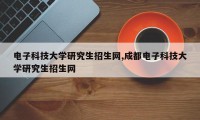 电子科技大学研究生招生网,成都电子科技大学研究生招生网