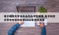 电子科技大学中外合作办学在哪里,电子科技大学中外合作办学2021年招生简章