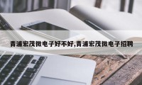 青浦宏茂微电子好不好,青浦宏茂微电子招聘