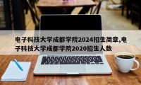 电子科技大学成都学院2024招生简章,电子科技大学成都学院2020招生人数