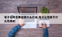 电子公司主要经营什么行业,电子公司属于什么性质的