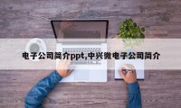 电子公司简介ppt,中兴微电子公司简介