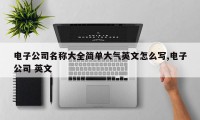 电子公司名称大全简单大气英文怎么写,电子公司 英文