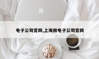 电子公司官网,上海微电子公司官网