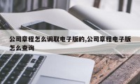 公司章程怎么调取电子版的,公司章程电子版怎么查询