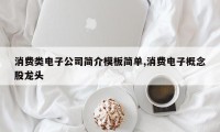 消费类电子公司简介模板简单,消费电子概念股龙头