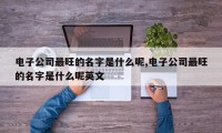 电子公司最旺的名字是什么呢,电子公司最旺的名字是什么呢英文