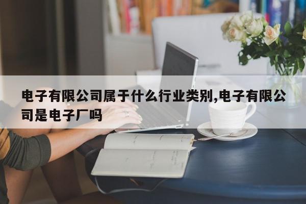 电子有限公司属于什么行业类别,电子有限公司是电子厂吗
