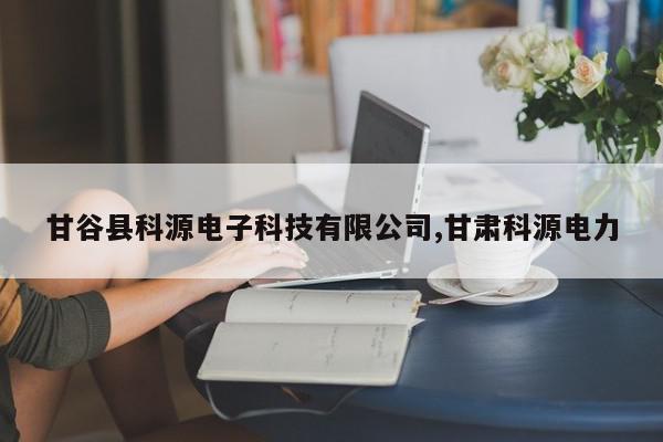 甘谷县科源电子科技有限公司,甘肃科源电力