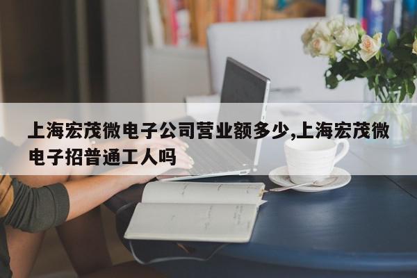 上海宏茂微电子公司营业额多少,上海宏茂微电子招普通工人吗