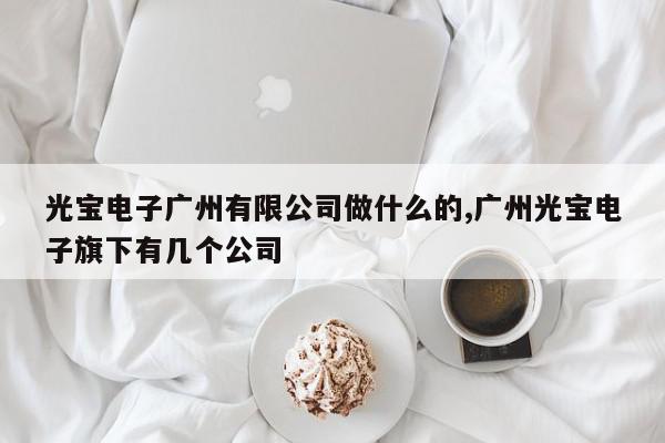 光宝电子广州有限公司做什么的,广州光宝电子旗下有几个公司