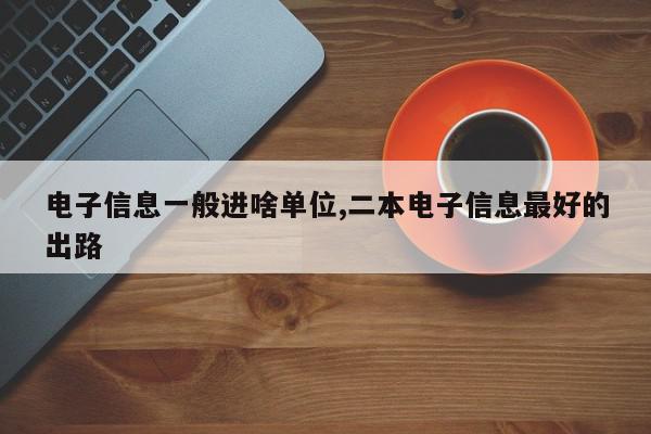 电子信息一般进啥单位,二本电子信息最好的出路