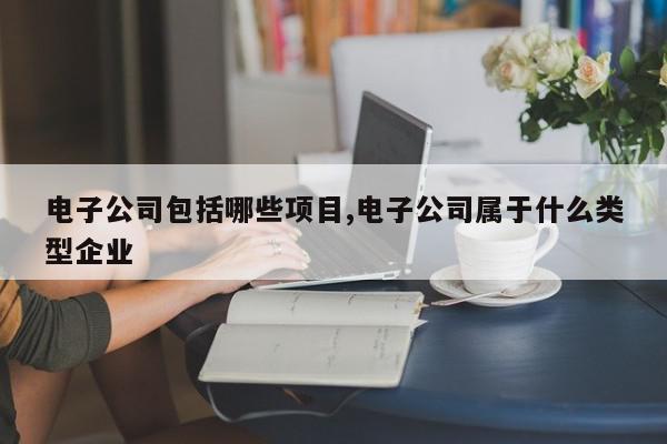 电子公司包括哪些项目,电子公司属于什么类型企业