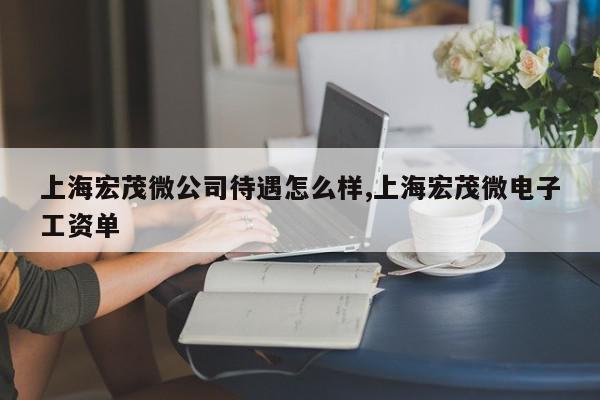 上海宏茂微公司待遇怎么样,上海宏茂微电子工资单