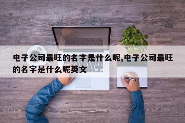 电子公司最旺的名字是什么呢,电子公司最旺的名字是什么呢英文